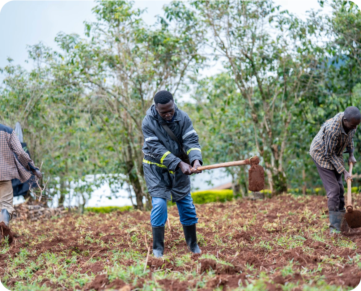 About Raising The Village